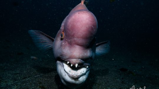 2025年下期フォトセミナー情報