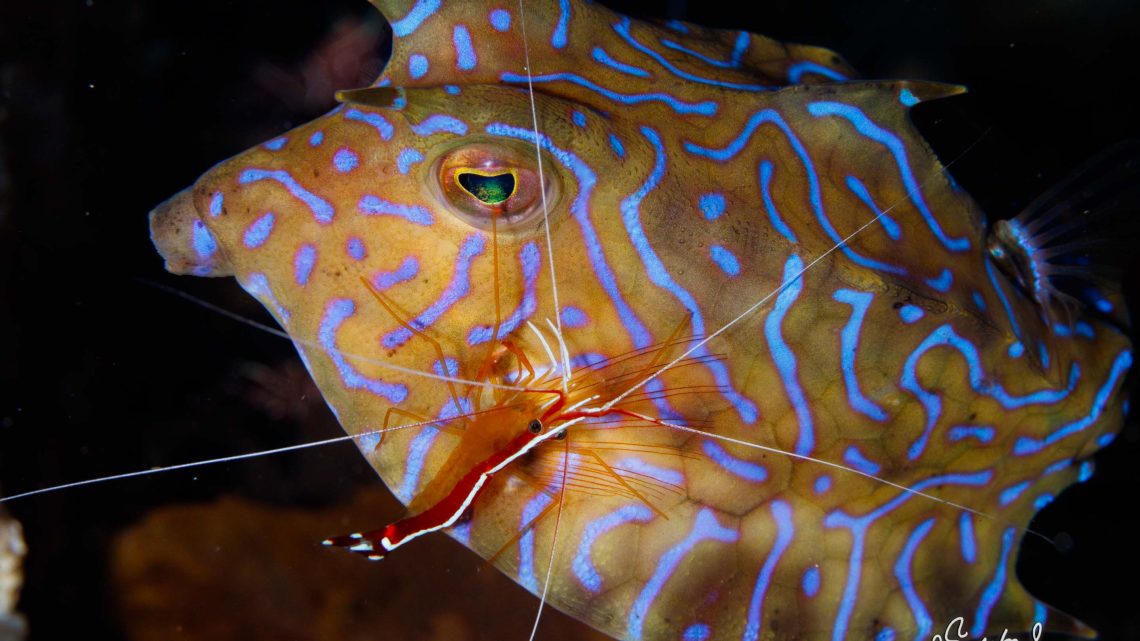 2026年上期フォトセミナー情報