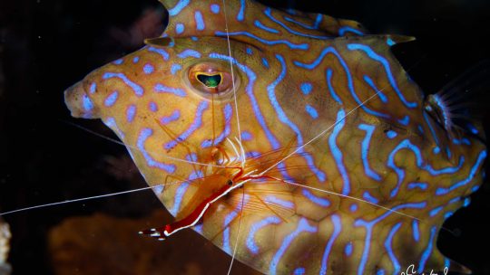 2026年上期フォトセミナー情報