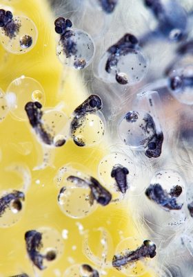 _W9A7951-Edit-2 _W9A7951-Edit-2