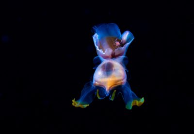 _W9A9194-Edit-3 _W9A9194-Edit-3